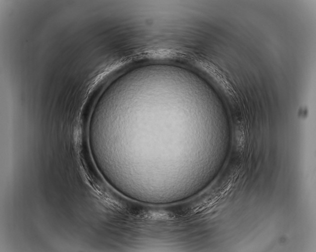 X0000101150583200806270945