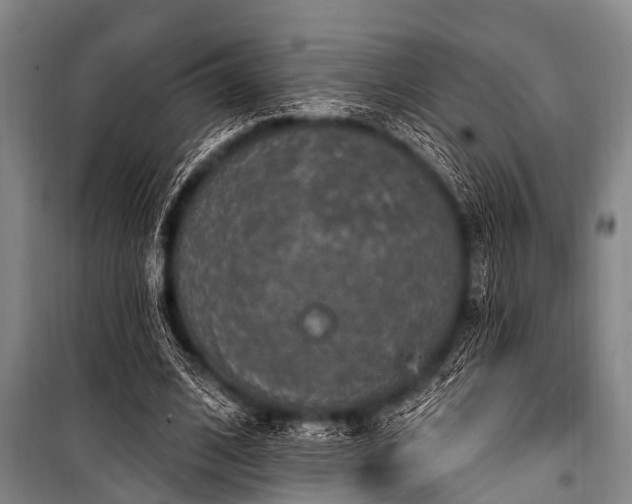 X0000101150584200806270945