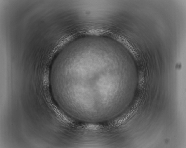 X0000101150585200806270945