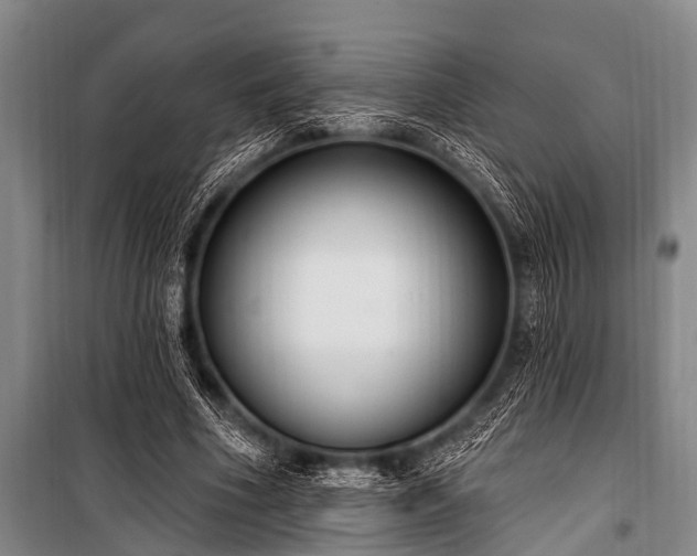 X0000101150586200806270945