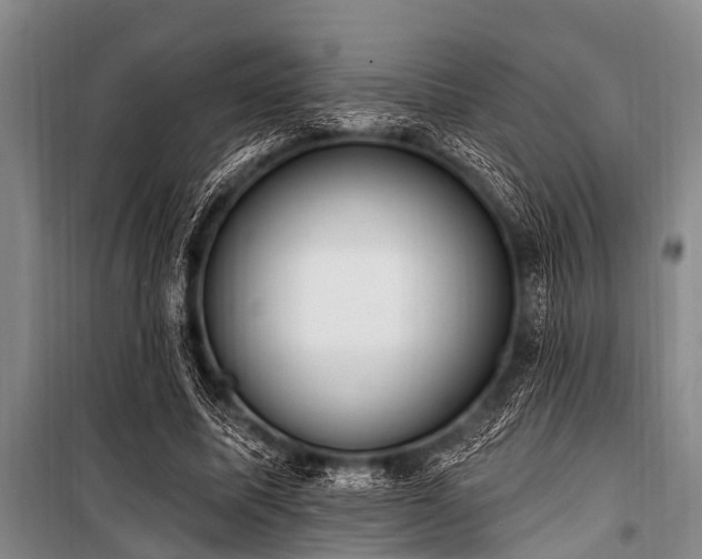 X0000101150587200806270945