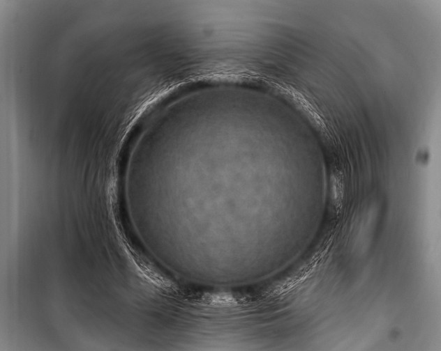 X0000101150588200806270945