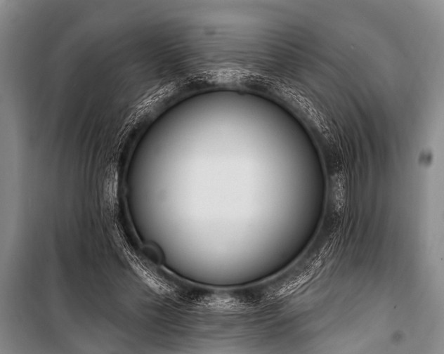 X0000101150589200806270945