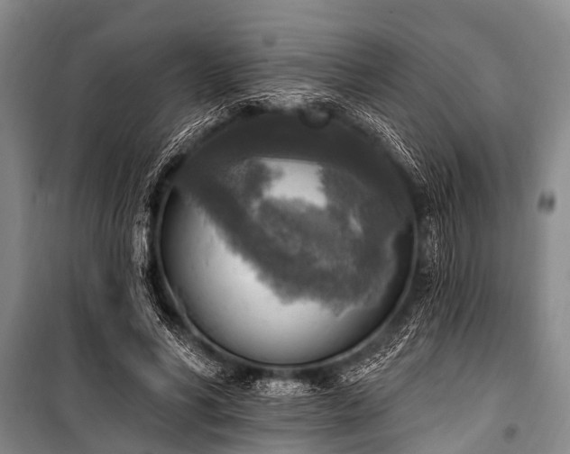 X0000101150590200806270945