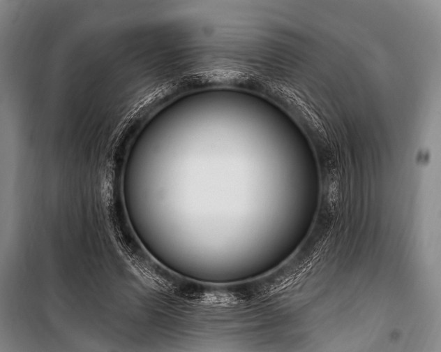 X0000101150591200806270945