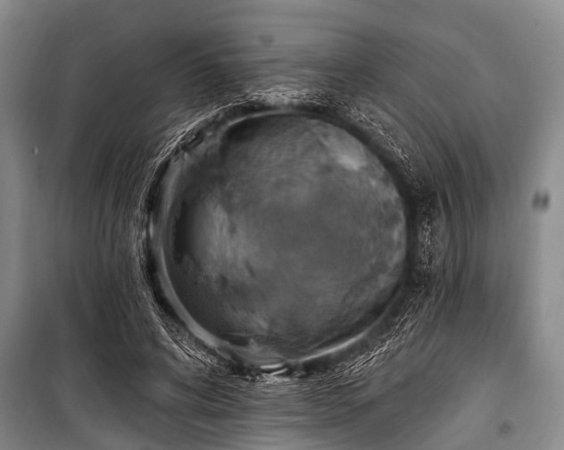 X0000101150592200806270945