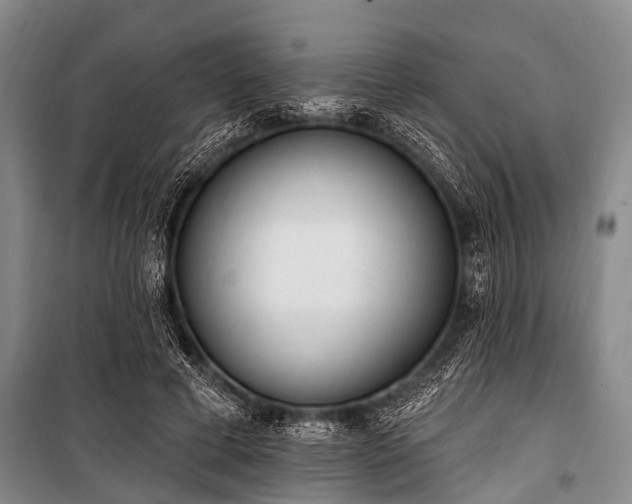 X0000101150593200806270945