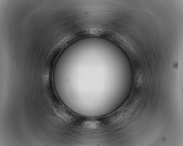 X0000101150595200806270945