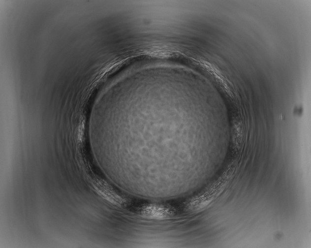 X0000101150596200806270945