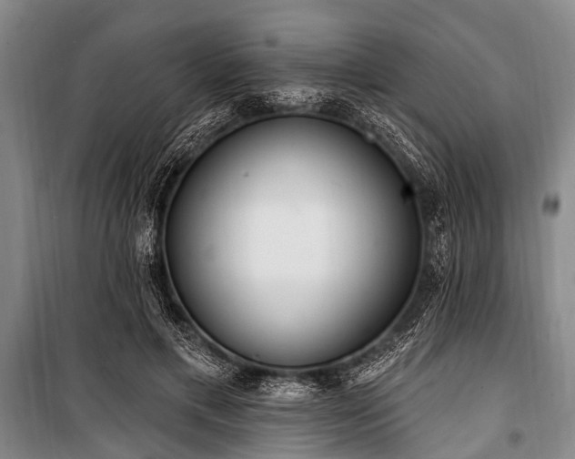 X0000101150597200806270945