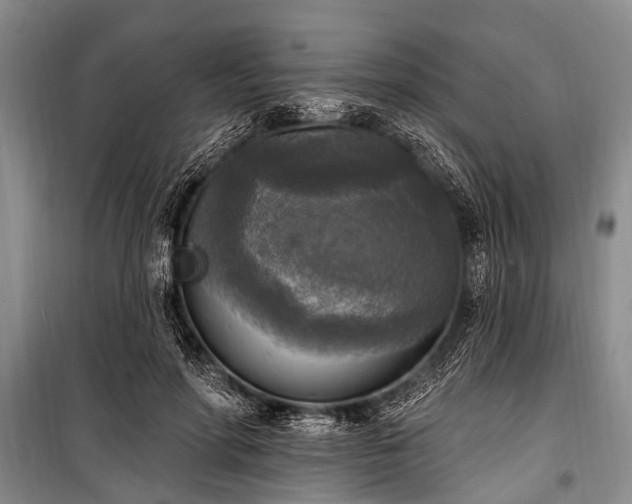 X0000101150598200806270945