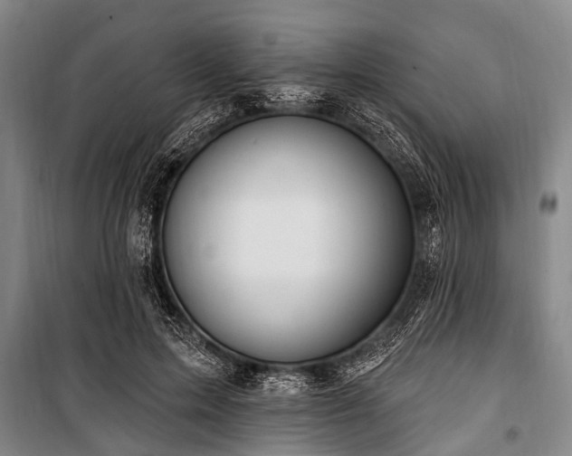 X0000101150599200806270945