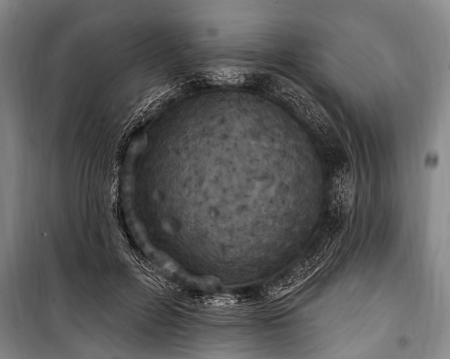 X0000101150600200806270945