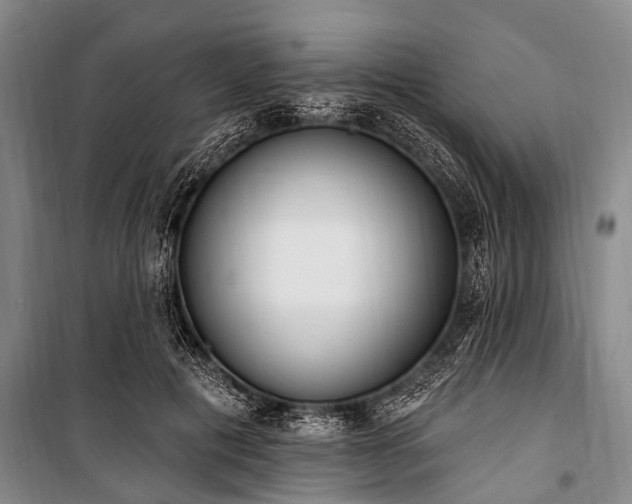 X0000101150601200806270945