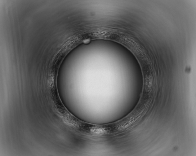 X0000101150602200806270945