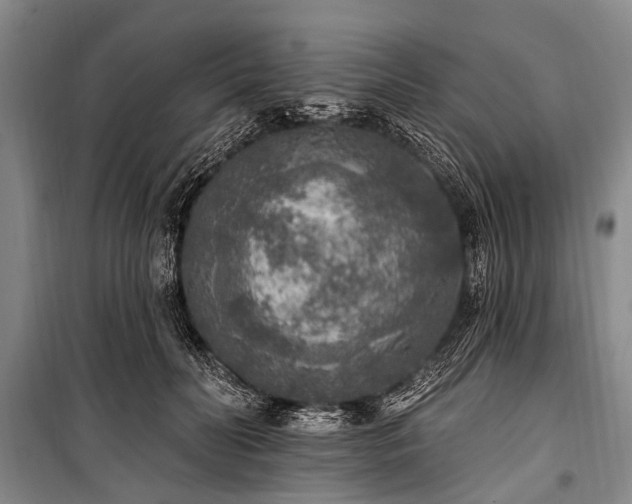 X0000101150606200806270945