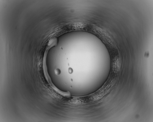 X0000101150608200806270945