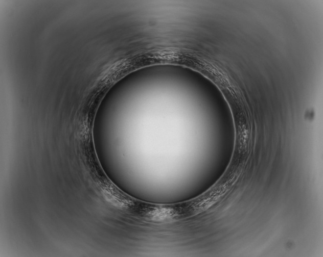 X0000101150609200806270945