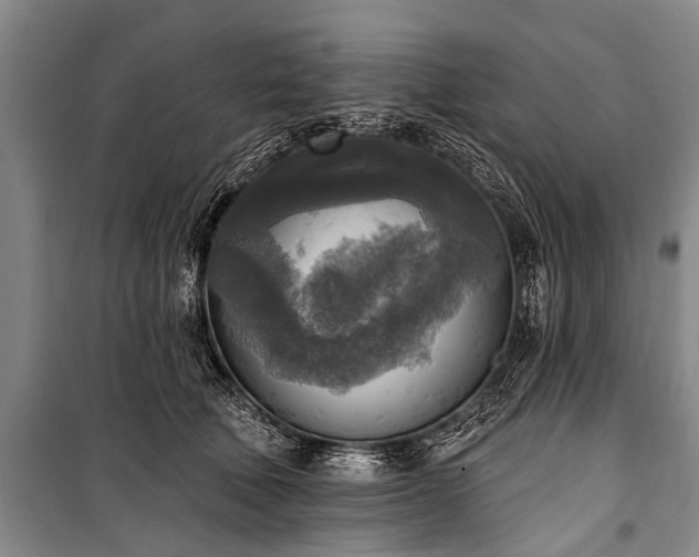 X0000101150610200806270945