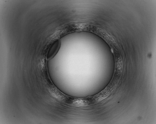 X0000101150611200806270945