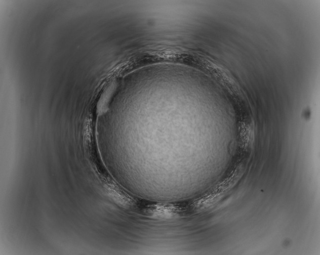 X0000101150612200806270945