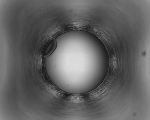 X0000101150615200806270945