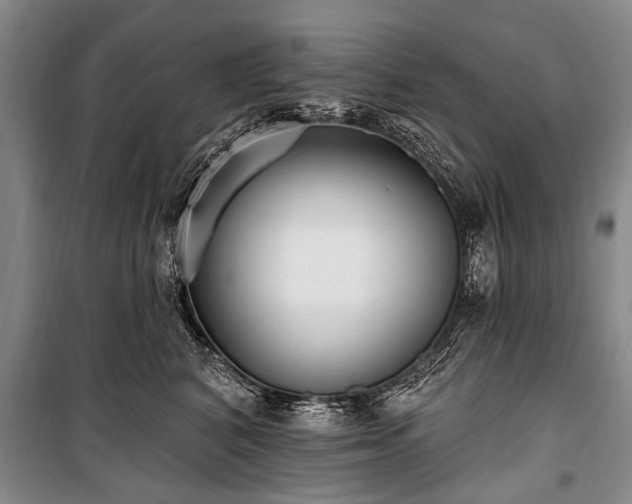 X0000101150616200806270945