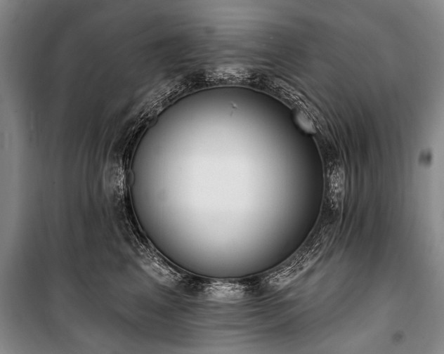 X0000101150617200806270945