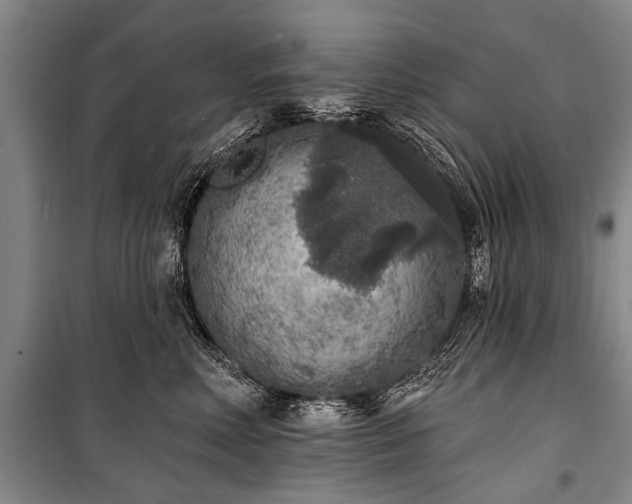X0000101150618200806270945