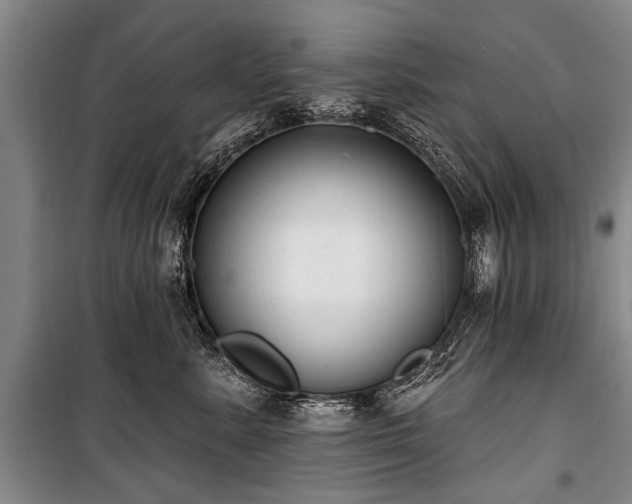 X0000101150619200806270945