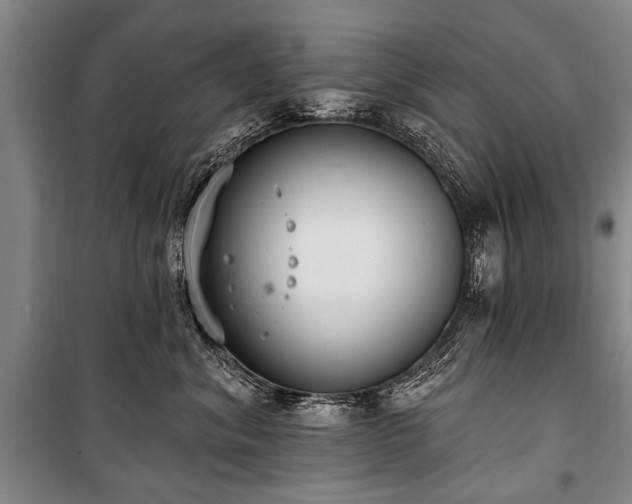 X0000101150620200806270945