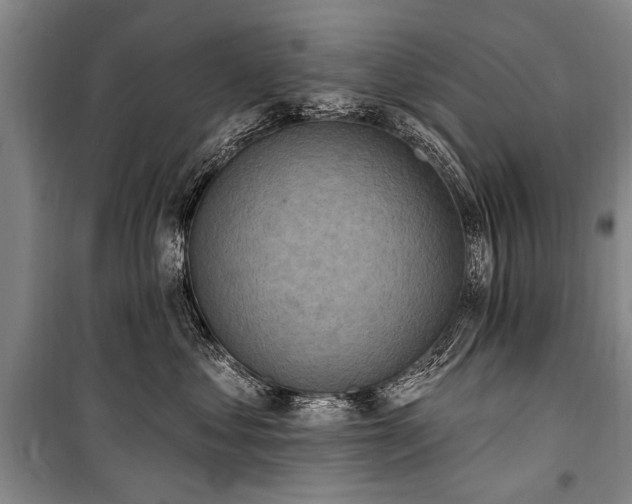 X0000101150621200806270945