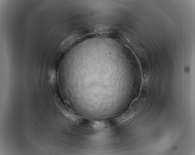 X0000101150623200806270945