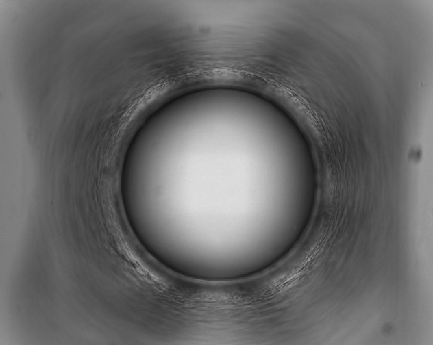 X0000101150625200806270944