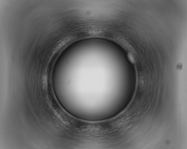 X0000101150626200806270944