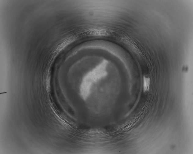 X0000101150627200806270944