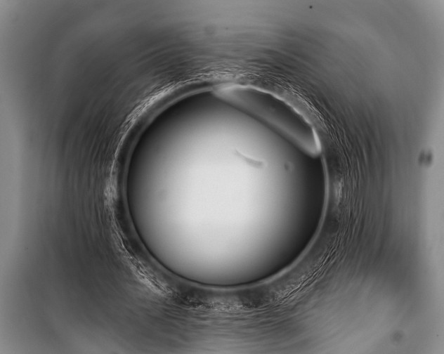 X0000101150628200806270944