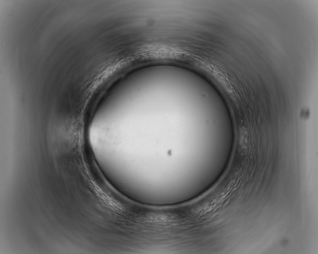 X0000101150629200806270944