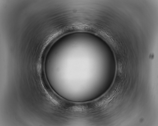 X0000101150630200806270944