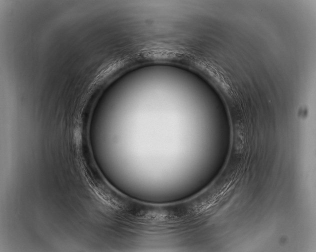 X0000101150631200806270944