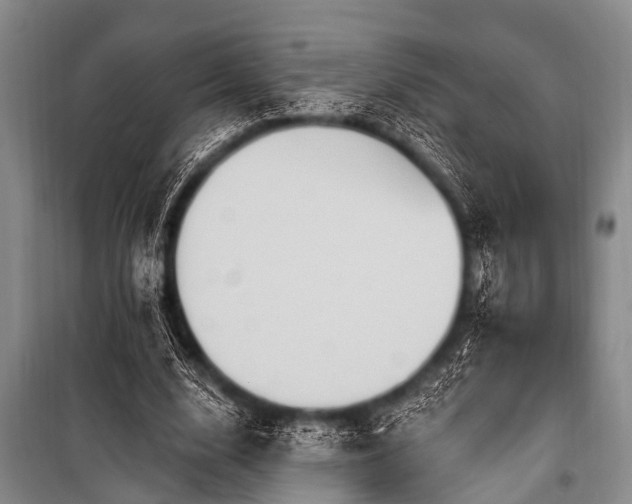 X0000101150632200806270944