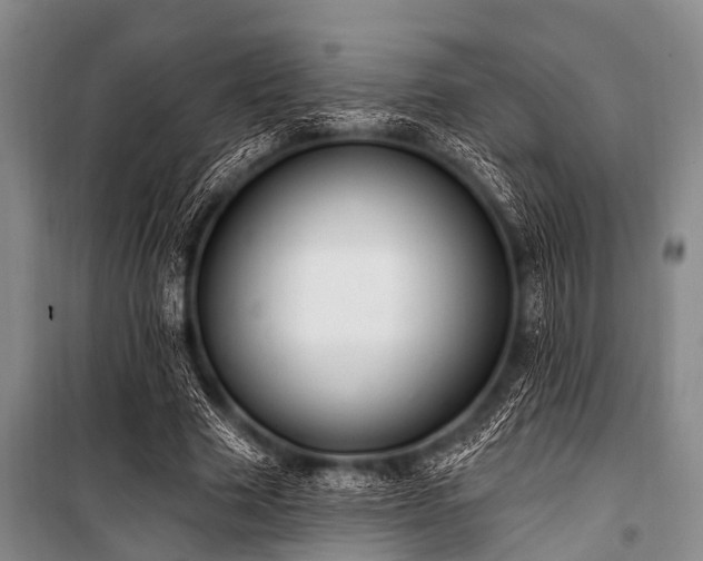 X0000101150633200806270944