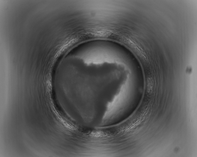 X0000101150634200806270944