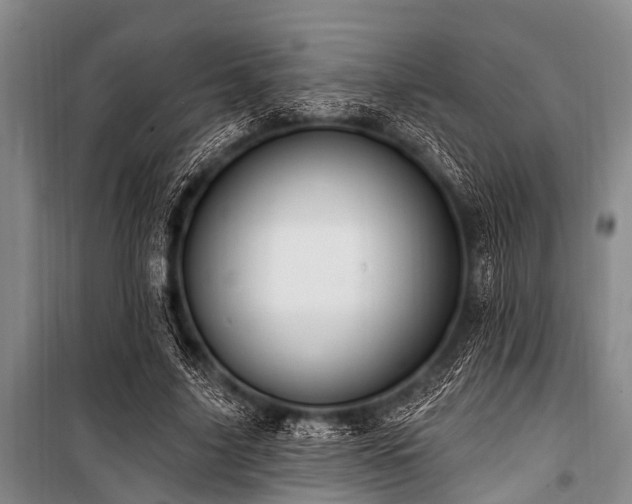 X0000101150635200806270944