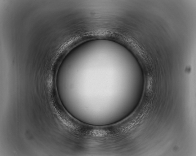 X0000101150636200806270944
