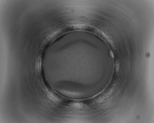 X0000101150637200806270944