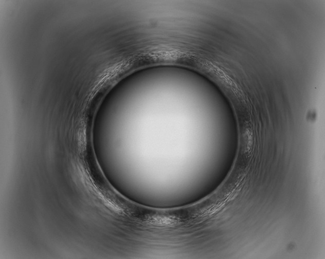 X0000101150638200806270944