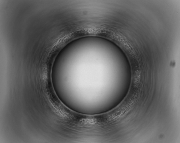 X0000101150639200806270944