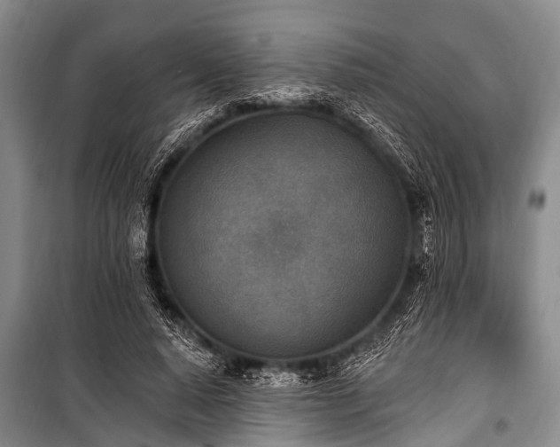 X0000101150640200806270944