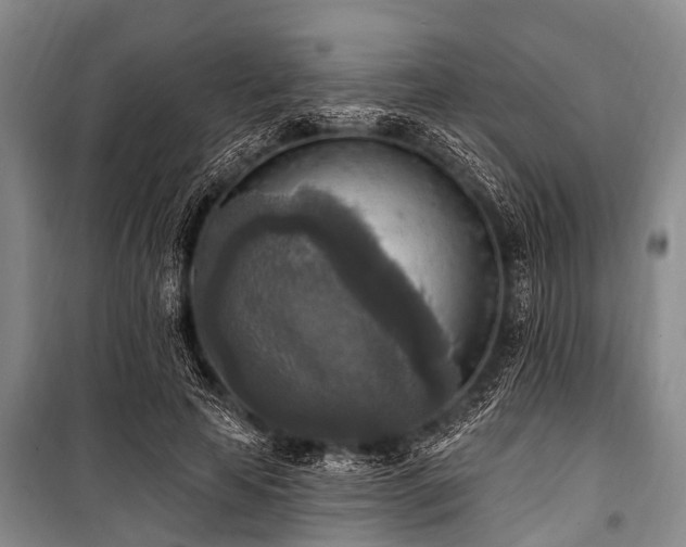 X0000101150641200806270944